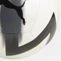 Puma Cage Ball
